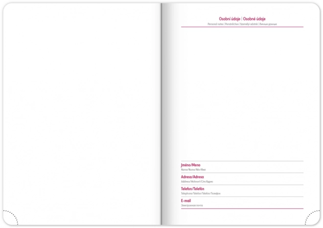 AGENDA Hebdomadaire Ajax 2025, vert, 15 x 21 cm