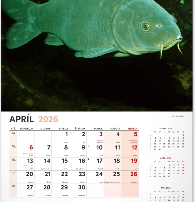 Calendrier mural Pêcheur 2026