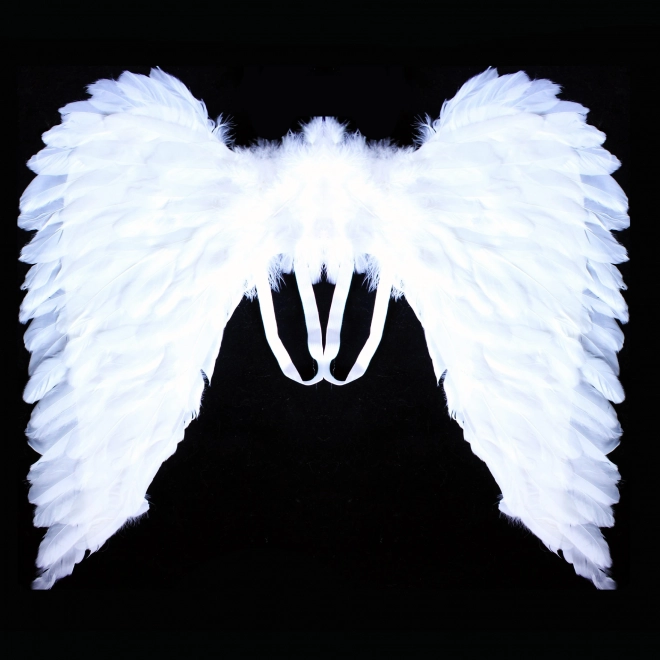 Ailes d'ange en plumes
