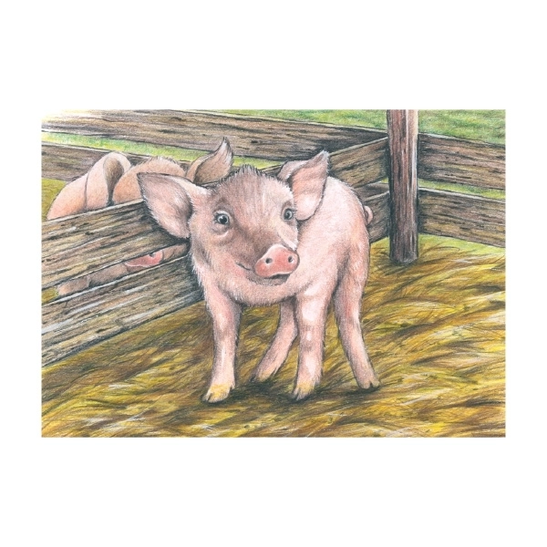 Puzzle cubes avec petit mouton