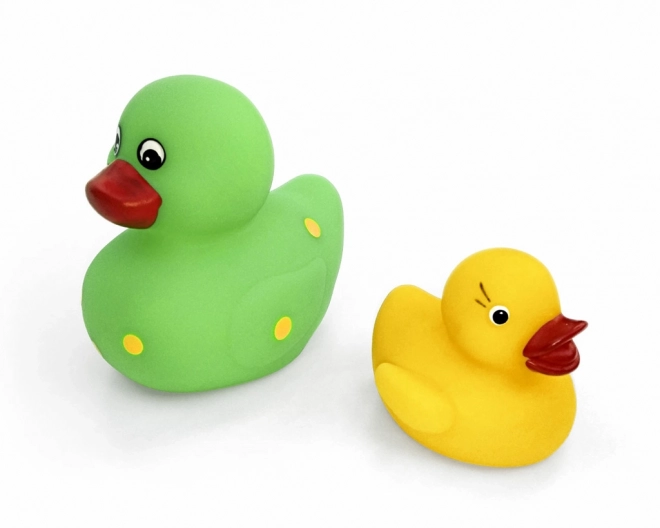 Set de canards qui couinent, grand et petit