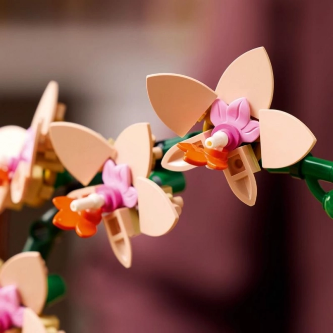 Lego Botanicals Petite Orchidée