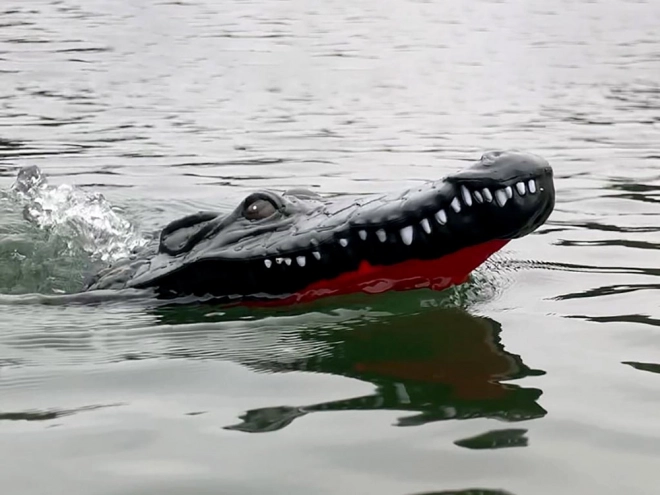 Bateau crocodile amusant avec télécommande – Rouge