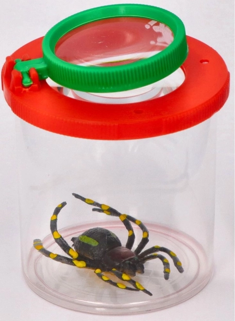 Boîte à insectes avec loupe