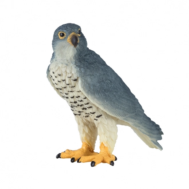 Mojo Faucon pèlerin