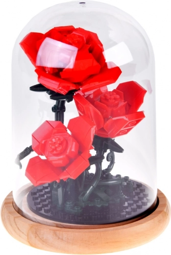 Cloche stable avec socle en bois