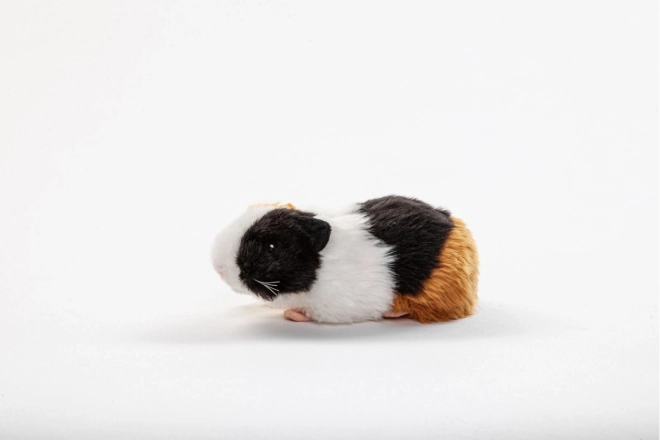 Cochon d'Inde Peluche 21 cm - ÉCOLOGIQUE