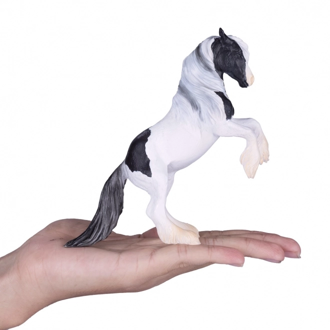Mojo Étalon Gypsy Vanner