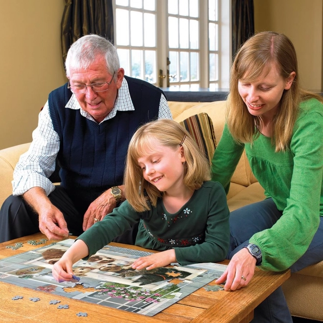 COBBLE HILL Puzzle familial Copains sur le porche 350 pièces
