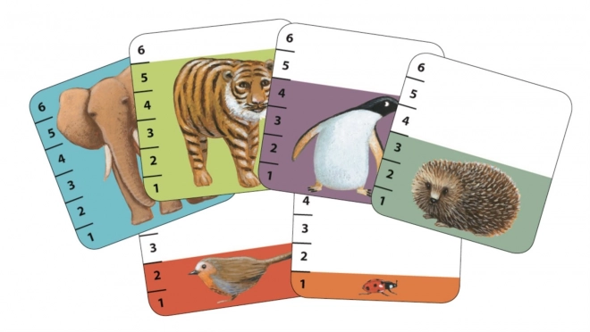 Jeu de cartes DJECO Qui des animaux