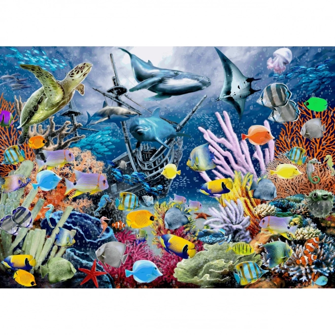 Puzzle Mer Colorée 1000 pièces