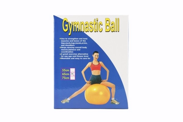 Balle de gymnastique 65cm rééducation relaxation en boîte 16x22cm