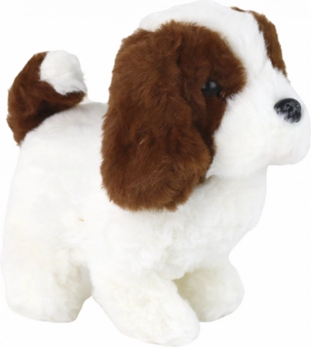 Chiot interactif qui marche – chiot blanc‑brun