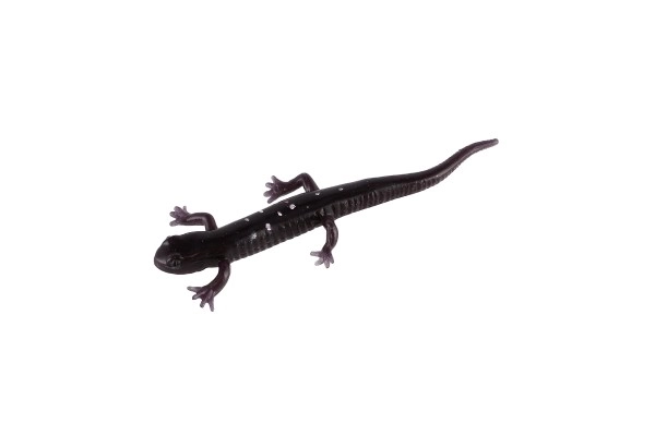 Lézards élastiques changeant de couleur 4pcs