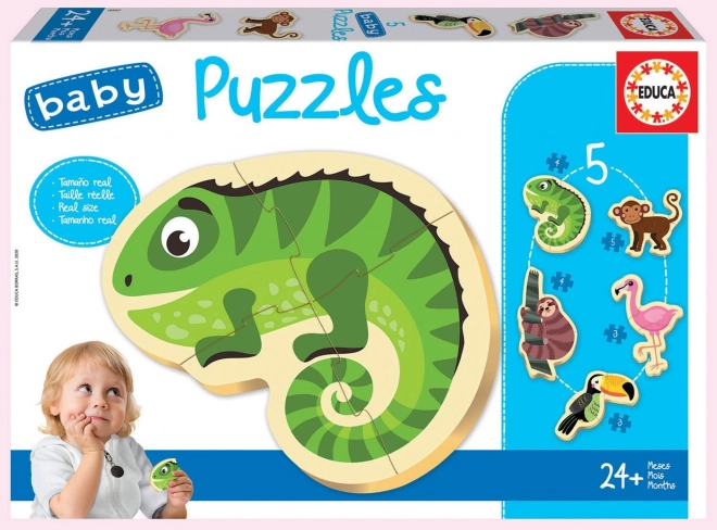 Puzzles pour enfants animaux tropicaux 5-en-1 (3–5 pièces) EDUCA