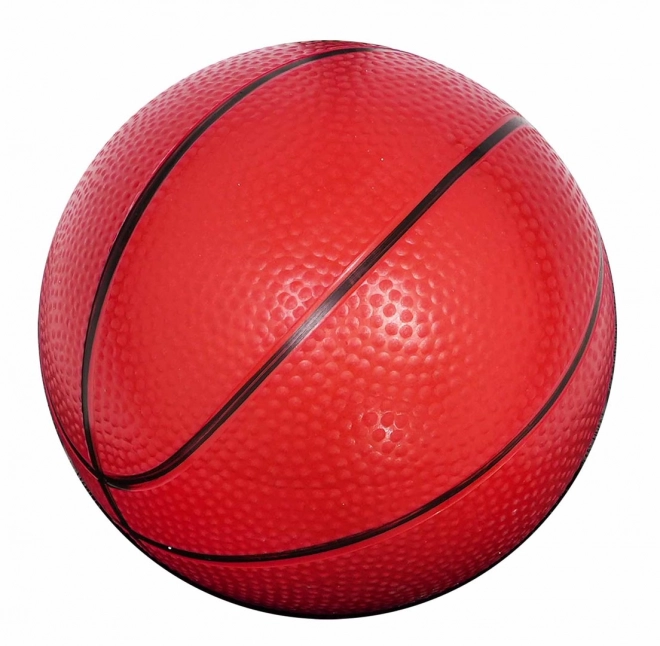 Ballon de basket 205cm + accessoires