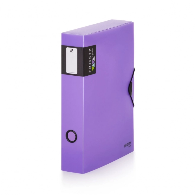 Boîte avec élastique pour documents A4 Opaline Frosty violet