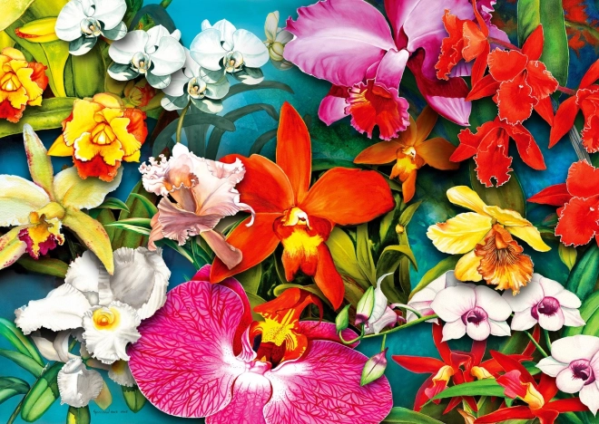 Puzzle Jungle des orchidées 1000 pièces