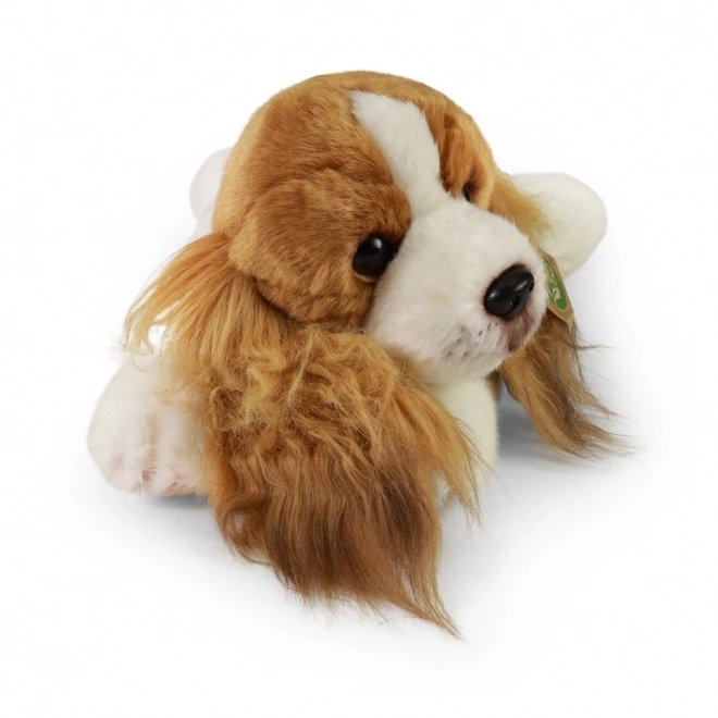 Rappa Chien en peluche Cocker Spaniel couché 30 cm ÉCOLOGIQUE