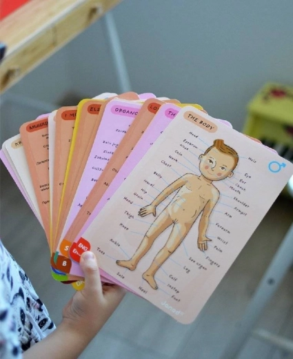 Apprentissage en 11 langues