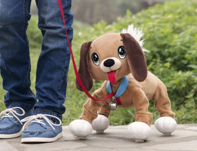 Chiot Floppy