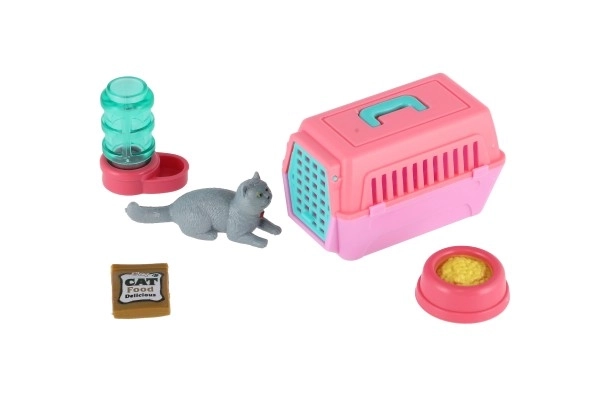 Petit chat avec une boîte de transport et accessoires