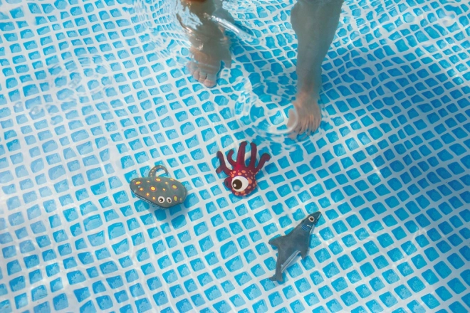 Animaux marins pour l’eau pour enfants