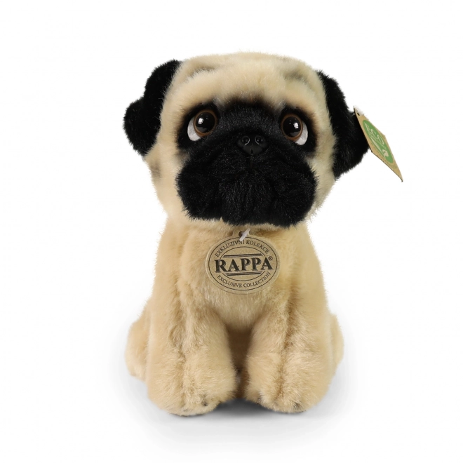 Carlin en peluche ECO-Friendly