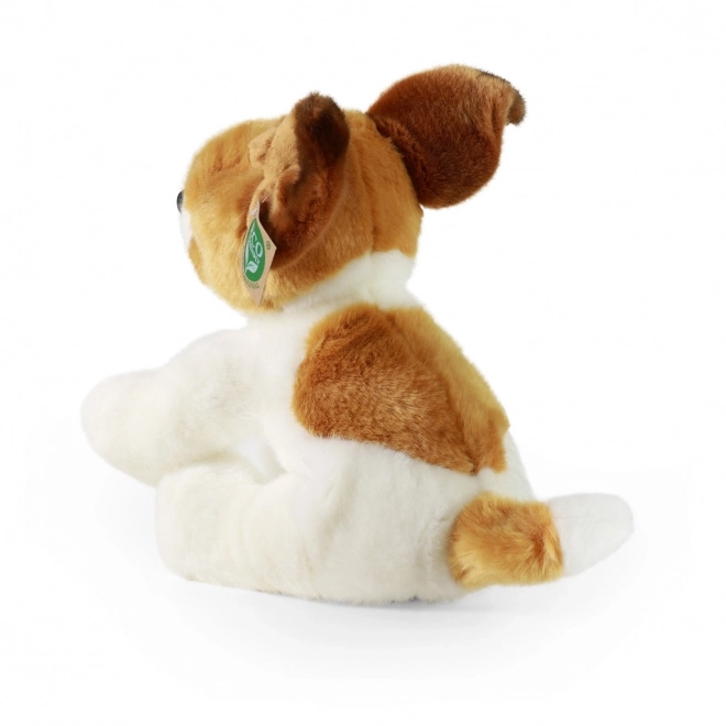 Chien en peluche jack russell terrier assis 30 cm ÉCOLOGIQUE