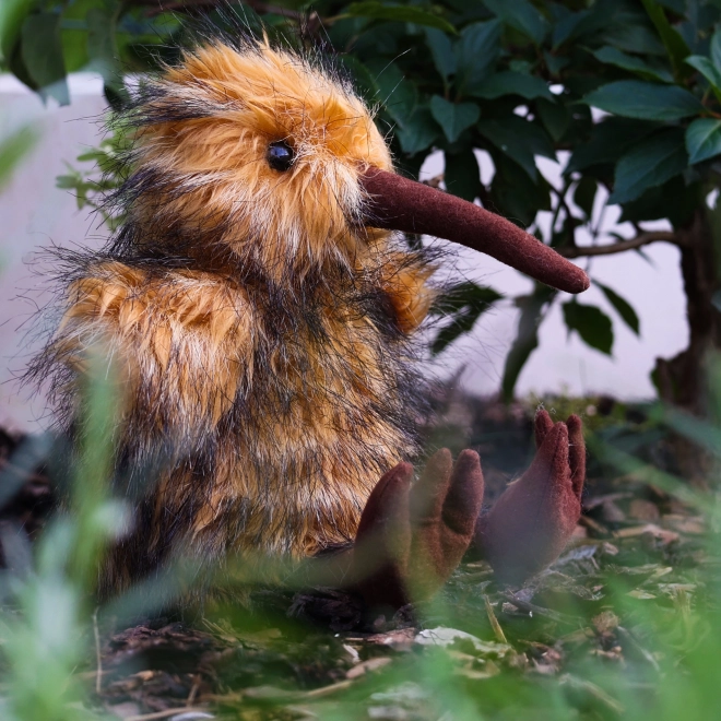 Oiseau kiwi en peluche 23 cm ÉCOLOGIQUE