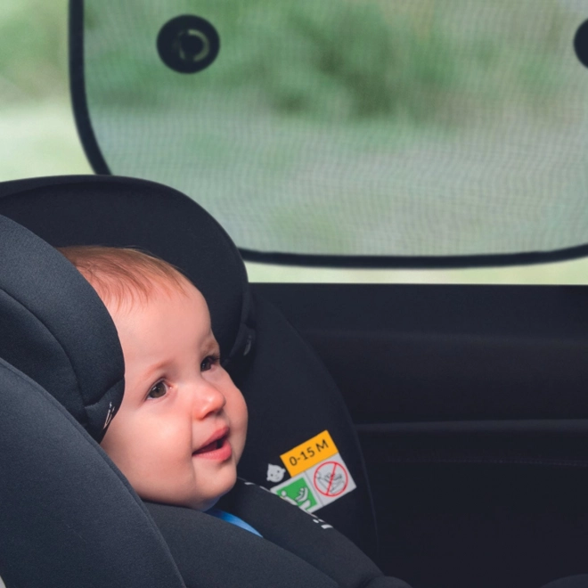 LIONELO Pare-soleil voiture 2pcs noir