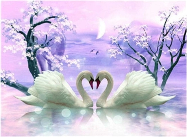 peinture diamant cygnes amoureux 30 × 40 cm