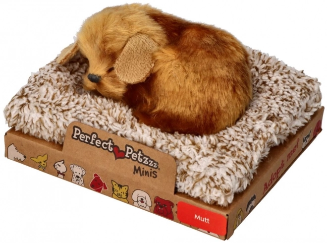 Petit chien Perfect Petzzz