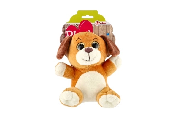 Animal en peluche grandes yeux 18 cm sur carte