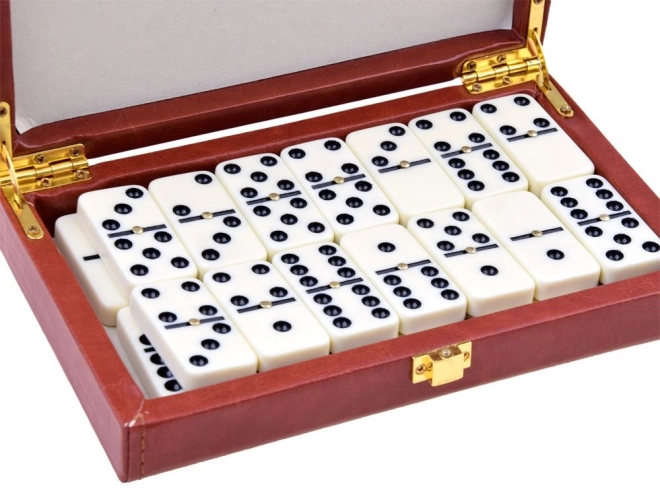 Jeu logique Domino dans un emballage élégant