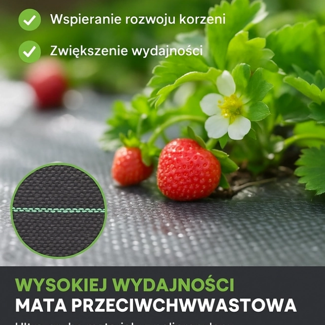 Agrotkanina noire 100 cm x 50m UV 70g contre les mauvaises herbes