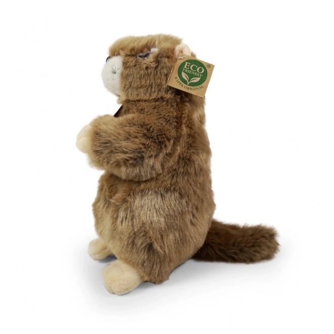 Marmotte en peluche 23 cm ÉCOLOGIQUE