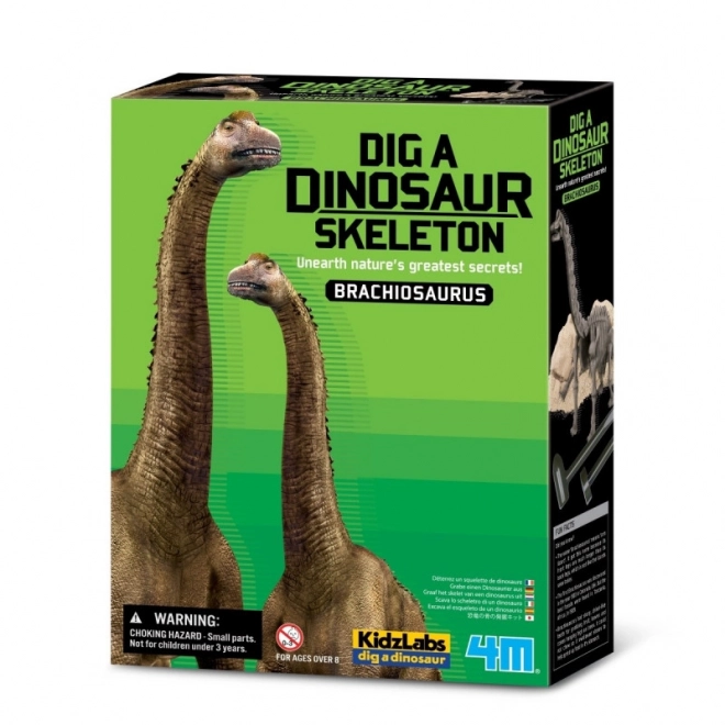 Kit scientifique pour fouilles - Brachiosaurus