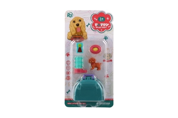 Petit chien avec boîte de transport et accessoires