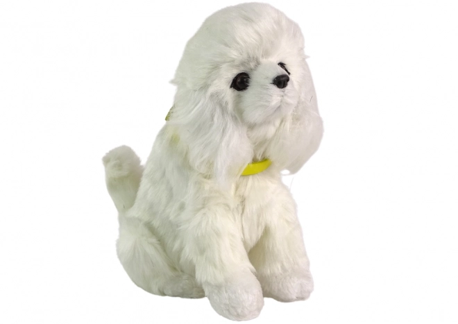 Chien interactif caniche Chien en peluche qui aboie et remue la queue