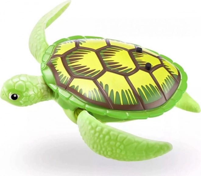 Robo vivant tortue