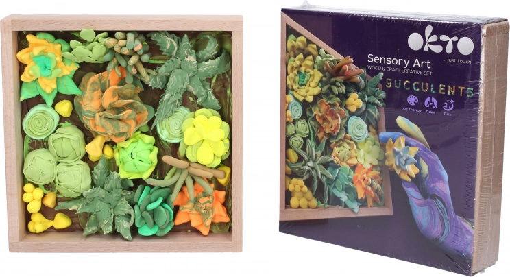 Kit de modelage artistique succulentes dans un cadre en bois 21 × 21 cm