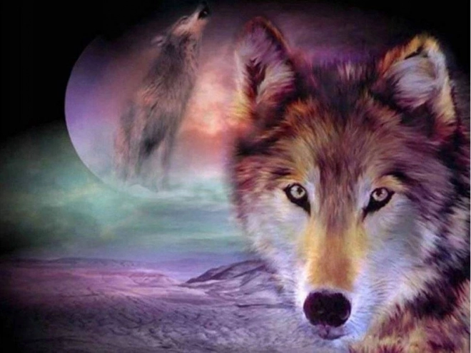Peinture de diamant Loup Regard 30x40 cm