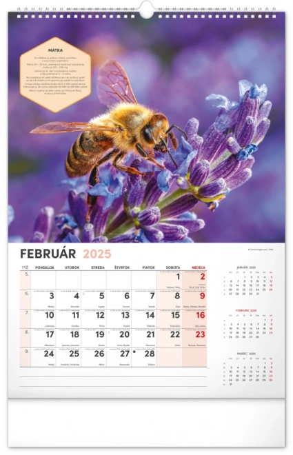 Calendrier mural NOTIQUE Apiculture 2025, 33 x 46 cm