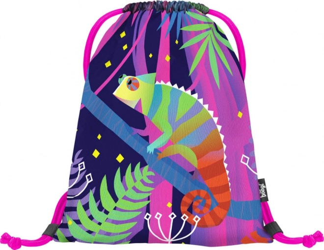 Sac pour chaussures BAAGL Chameleon
