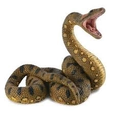 Grande anaconda