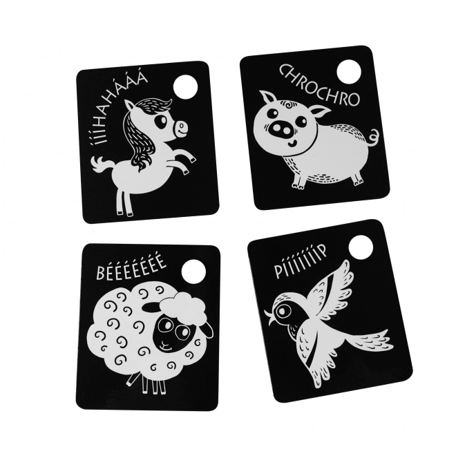 Cartes contrastées pour enfants noir et blanc