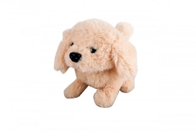 Chien à piles, beige