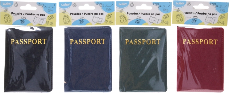 Étui de passeport au design cuir