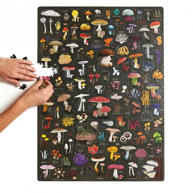 Puzzle Puzzlove Champignons 1000 pièces